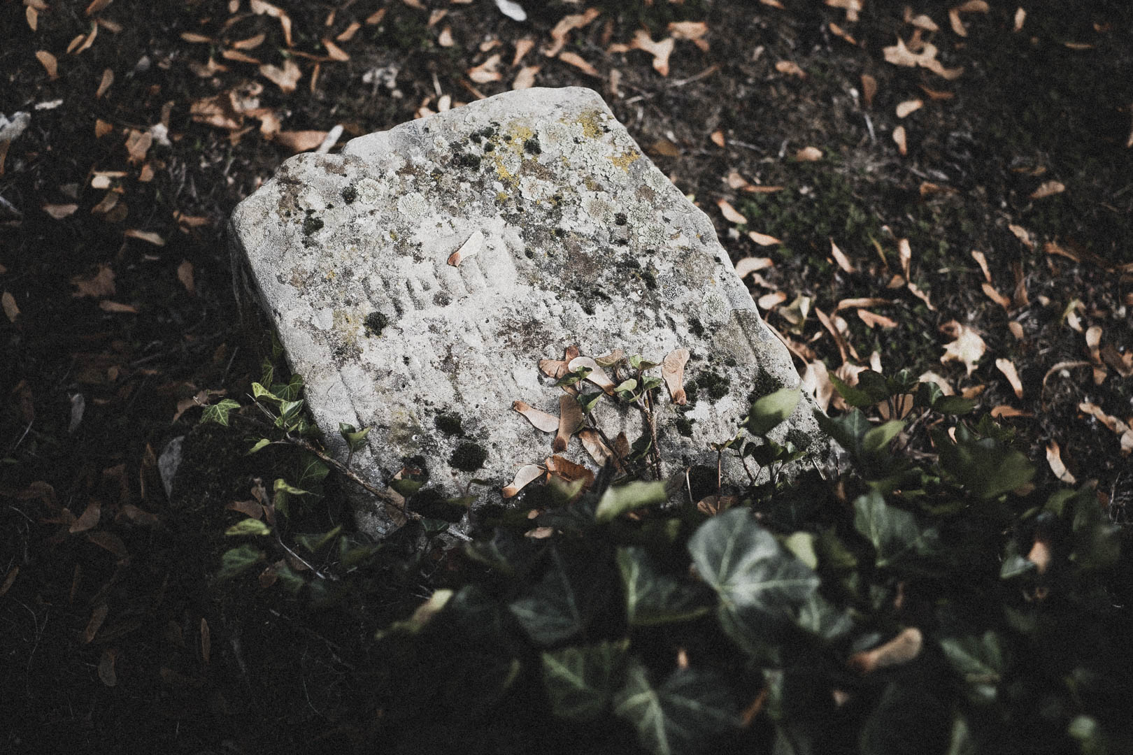 Brakel, Jüdischer Friedhof